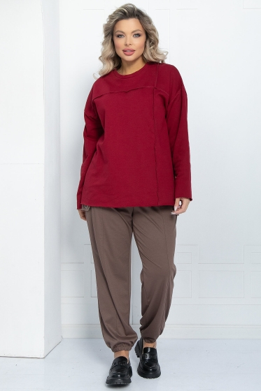 Свитшот Эспен (бордовый) Б11888 Свитшот Эспен (бордовый) Б11888