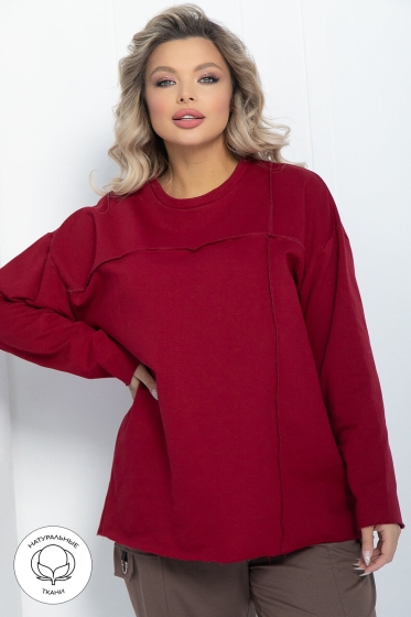 Свитшот Эспен (бордовый) Б11888 Свитшот Эспен (бордовый) Б11888